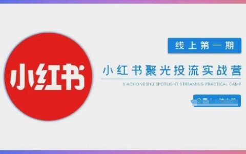 小紅書聚光陪跑第一期，教你從0到1玩轉小紅書聚光投流，搭建小紅書付費投流團隊，更快的見到效果