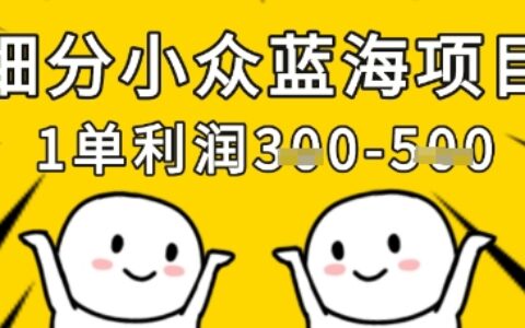 細分小眾藍海項目，一單利潤3張，每月收入穩定過1w+